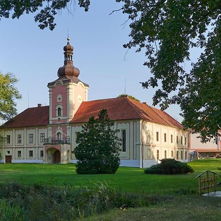 Penzion Zámek Lešany Netvořice Esterno foto