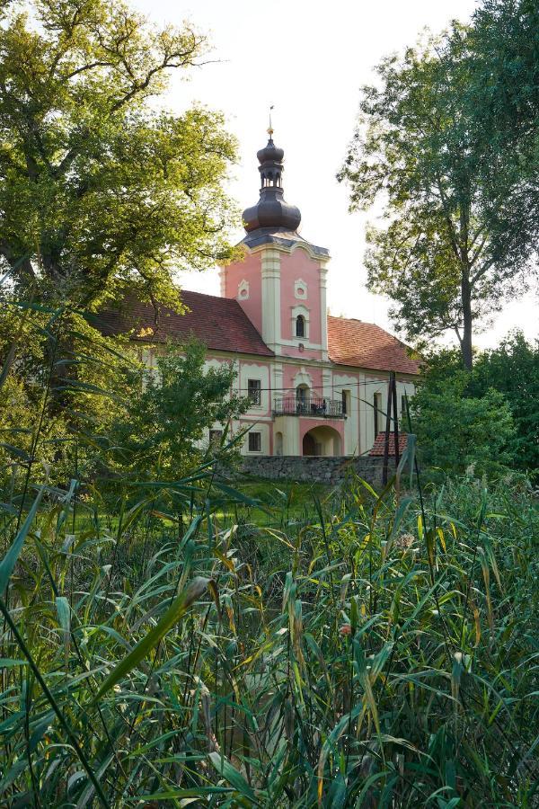 Penzion Zámek Lešany Netvořice Esterno foto