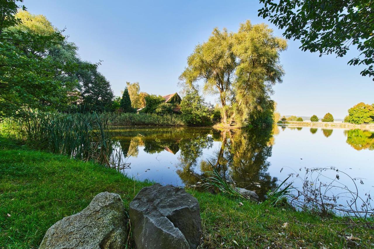 Penzion Zámek Lešany Netvořice Esterno foto