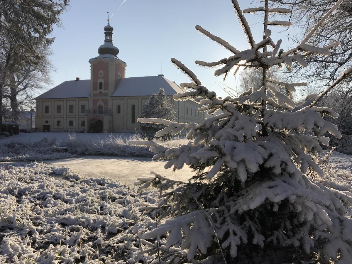 Penzion Zámek Lešany Netvořice Esterno foto